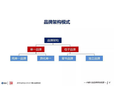 策世品牌觀 七日微光，照亮品牌管理之路